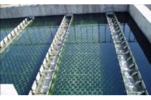 【干貨】生物濾池為什么一受沖擊氨氮去除率就會下降？
